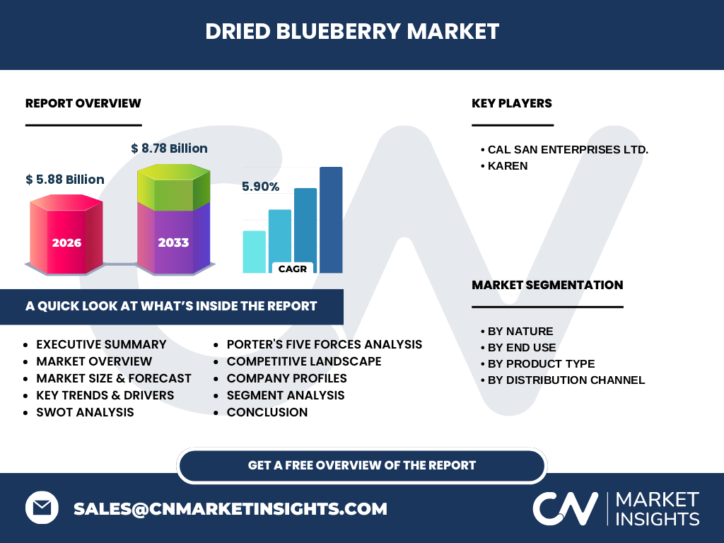 Dried Blueberry Market