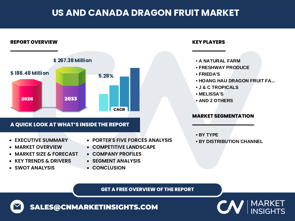Marché Dragon Fruit US Et Canada