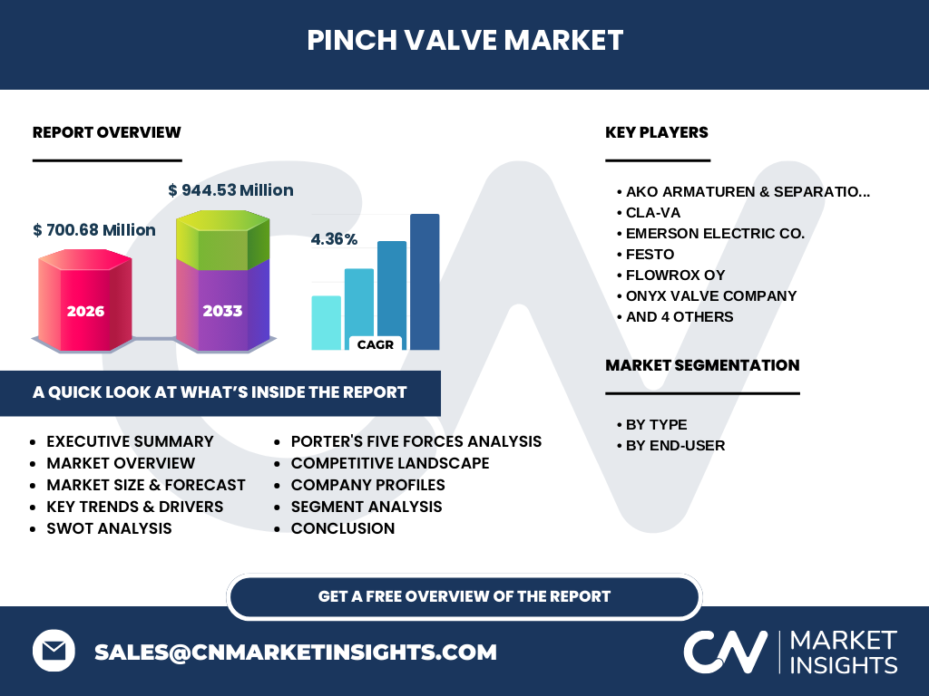 Pinch Valve Market