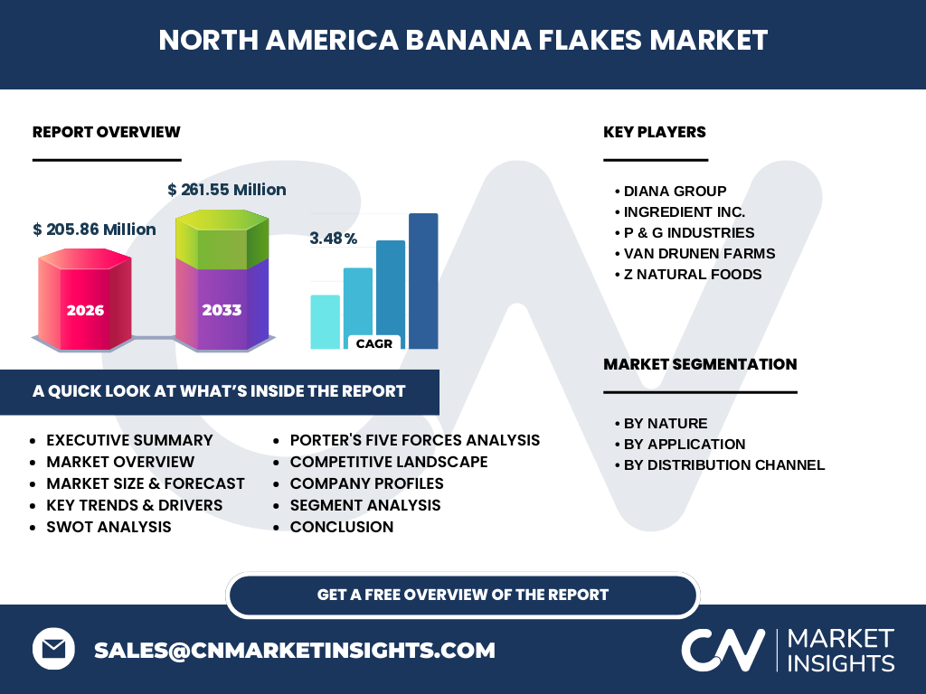 North America Banana Flakes Market