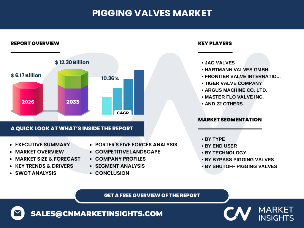 Pigging Valves Market