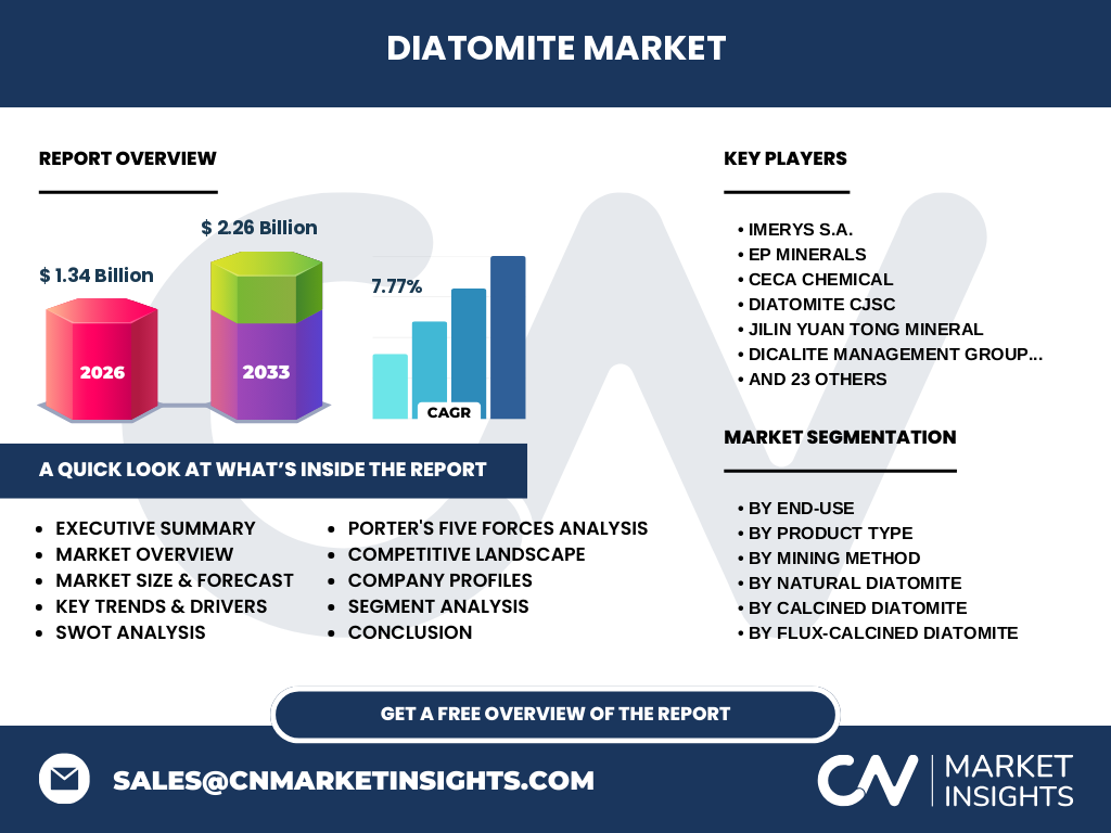 Diatomite Market