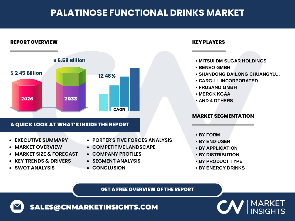 Palatinose Functional Drinks Market